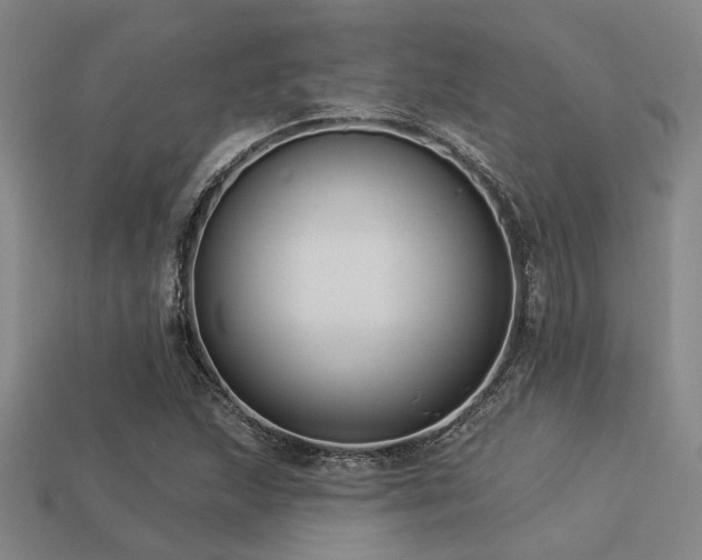 X0000113281215200909141218