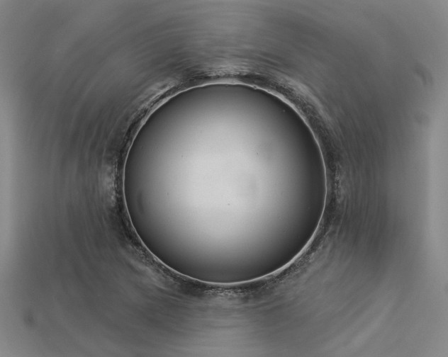 X0000113281217200909141218