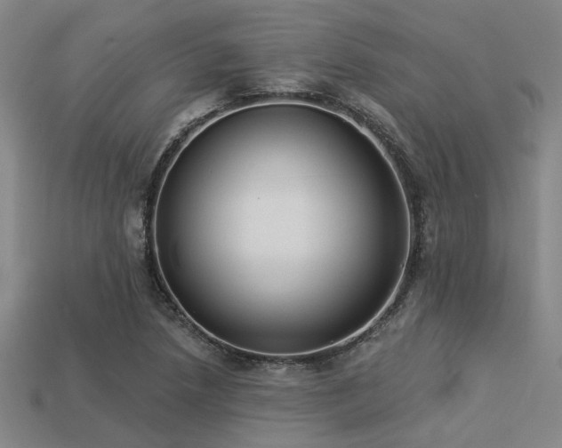 X0000113281218200909141218