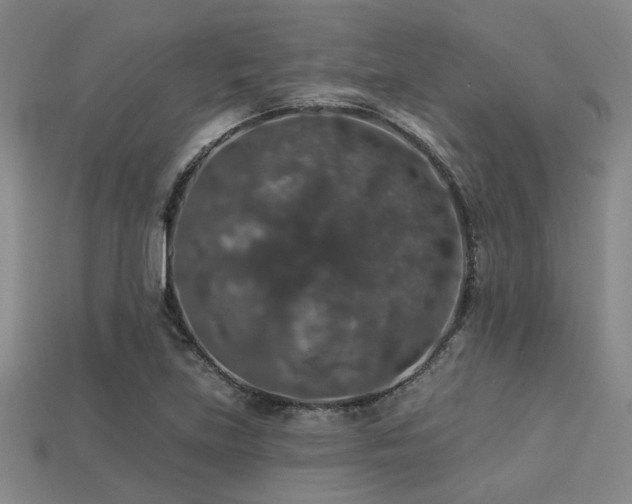 X0000113281219200909141218