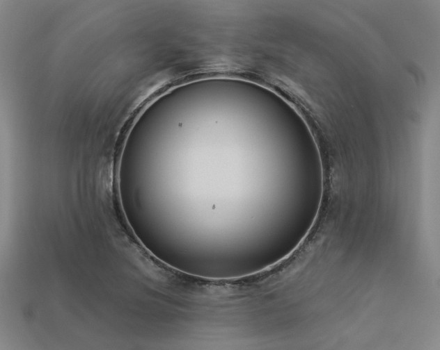 X0000113281220200909141218