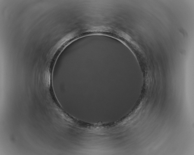 X0000113281221200909141218