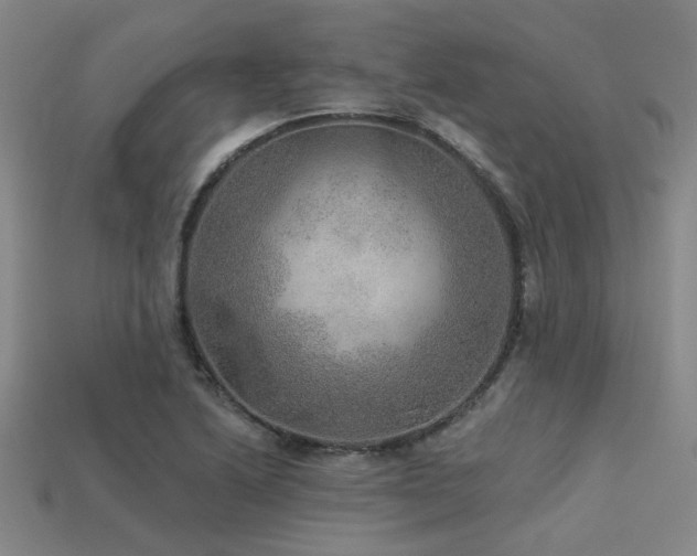 X0000113281222200909141218