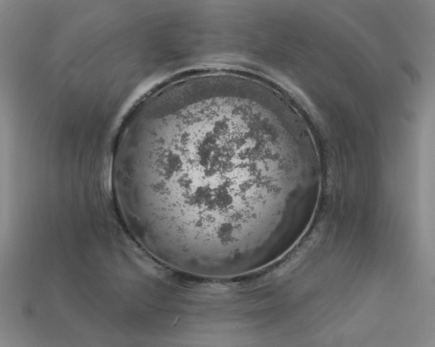 X0000113281224200909141218