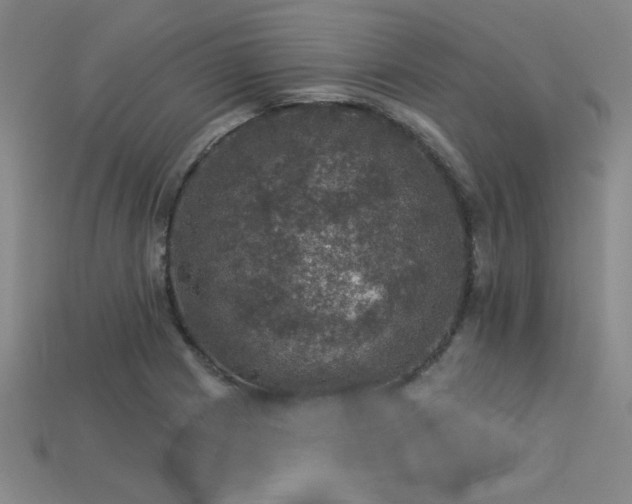 X0000113281225200909141218