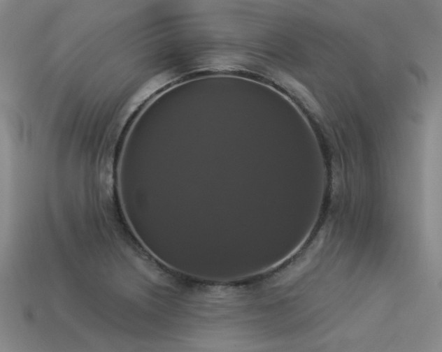 X0000113281226200909141218