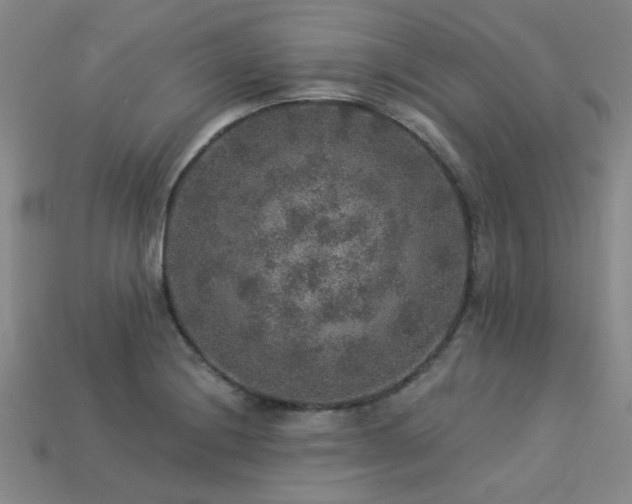 X0000113281228200909141218