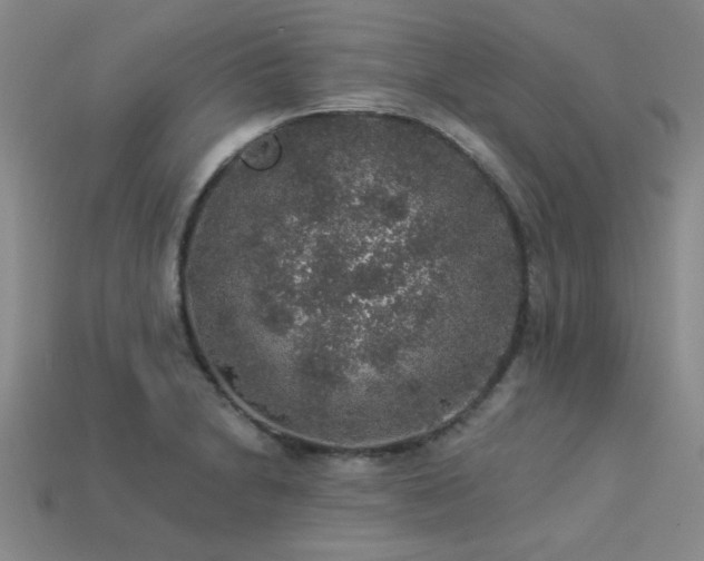 X0000113281230200909141218