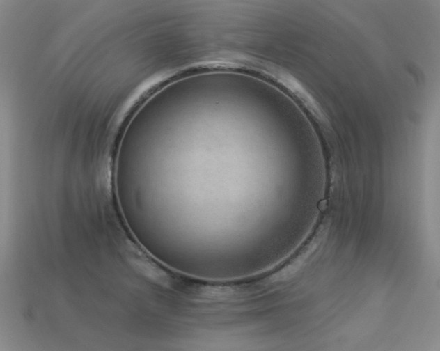 X0000113281232200909141218