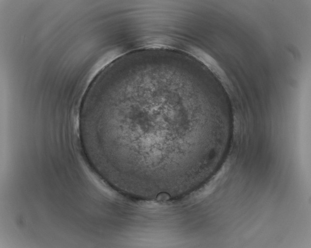 X0000113281234200909141218