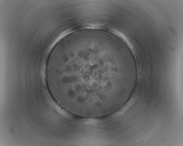 X0000113281235200909141218