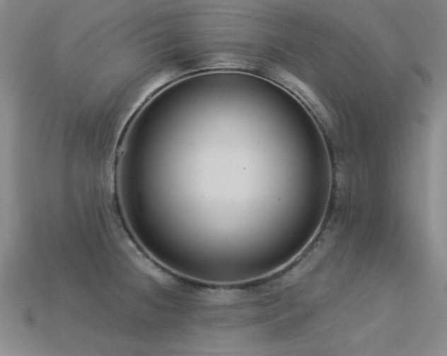 X0000113281236200909141218