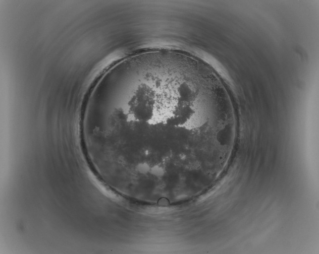 X0000113281237200909141218