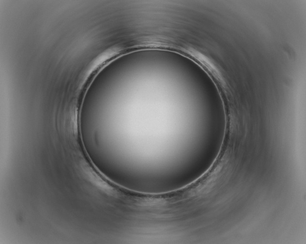 X0000113281238200909141218