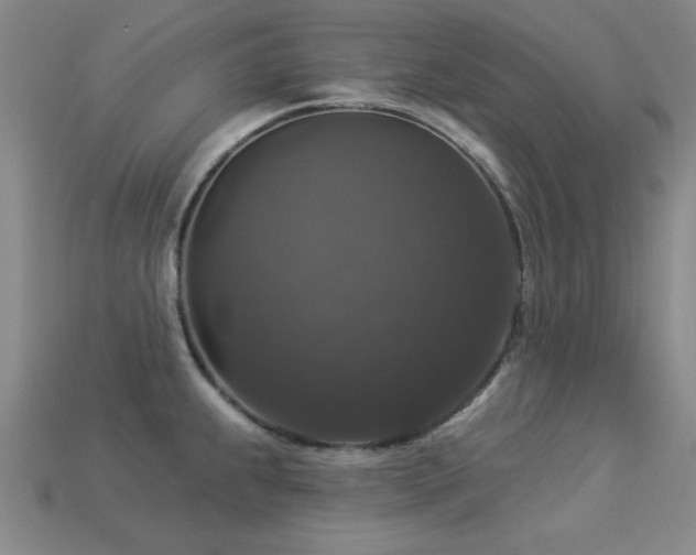 X0000113281239200909141218