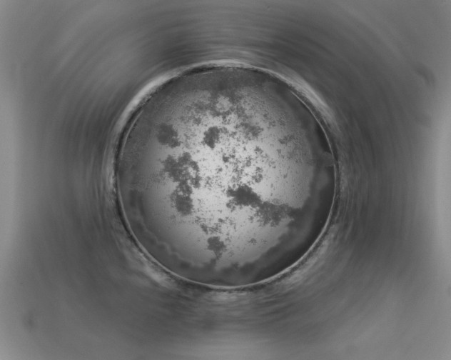 X0000113281240200909141218