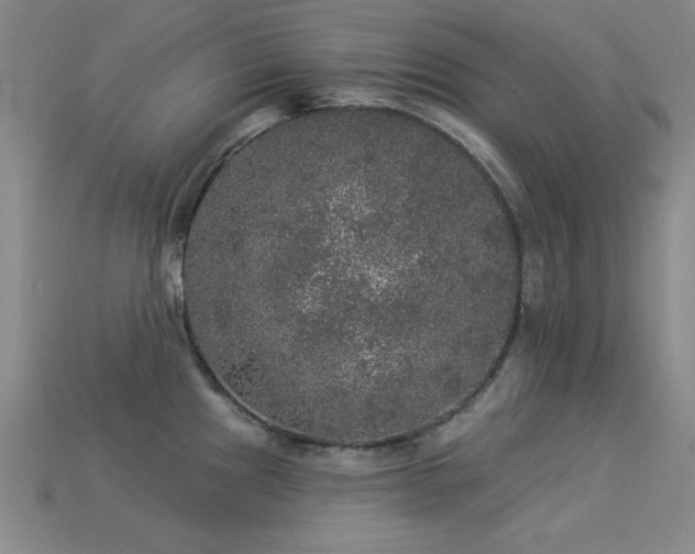 X0000113281241200909141218