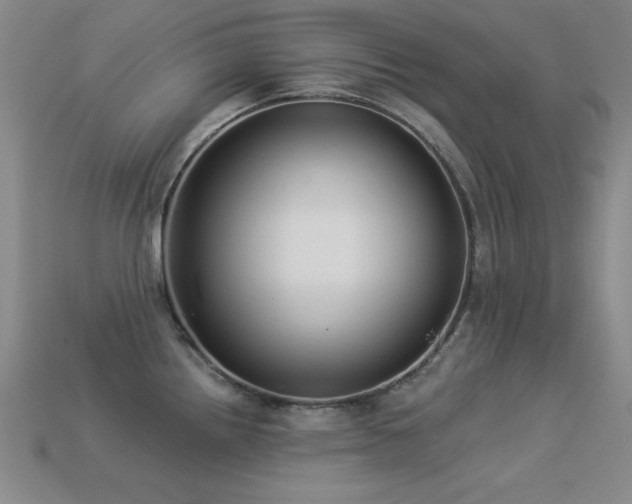 X0000113281242200909141218