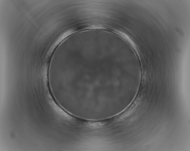 X0000113281243200909141218