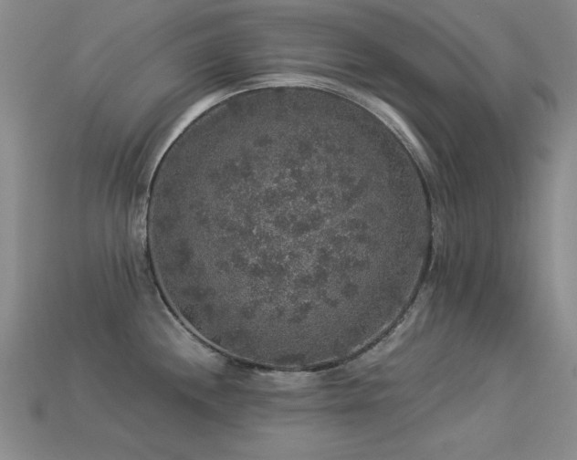 X0000113281244200909141218