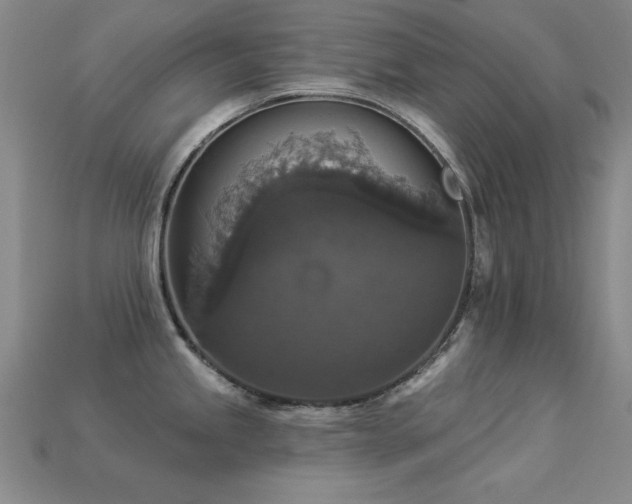 X0000113281245200909141218