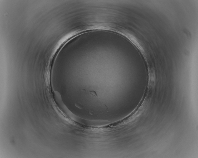 X0000113281246200909141218