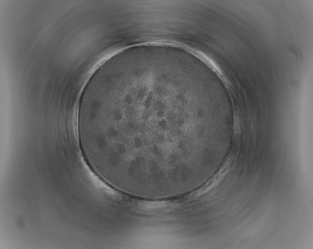 X0000113281247200909141218