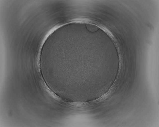 X0000113281248200909141218