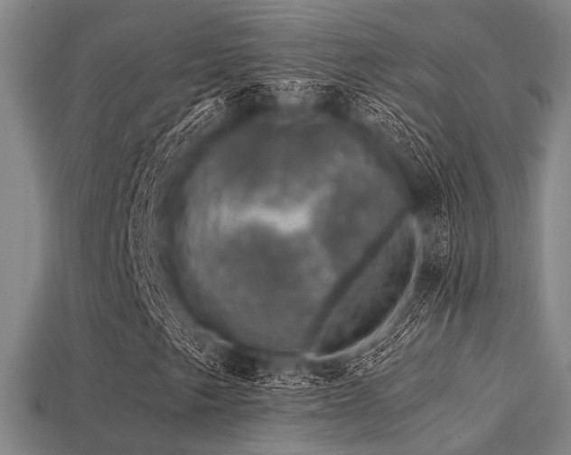 X0000113281249200909141218