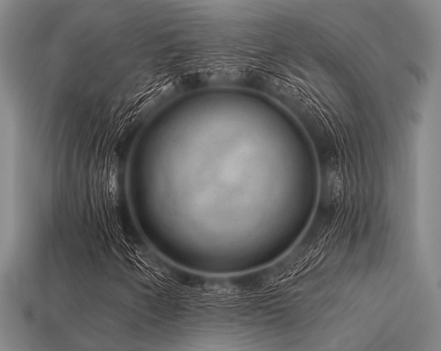 X0000113281250200909141218