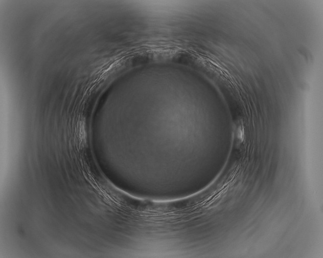 X0000113281252200909141218