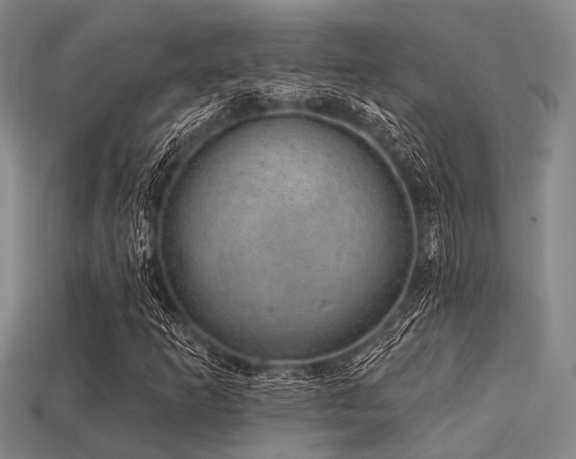 X0000113281253200909141218