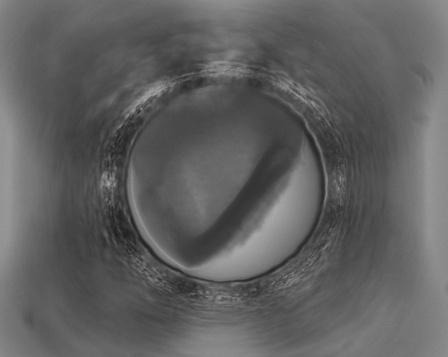 X0000113281254200909141218