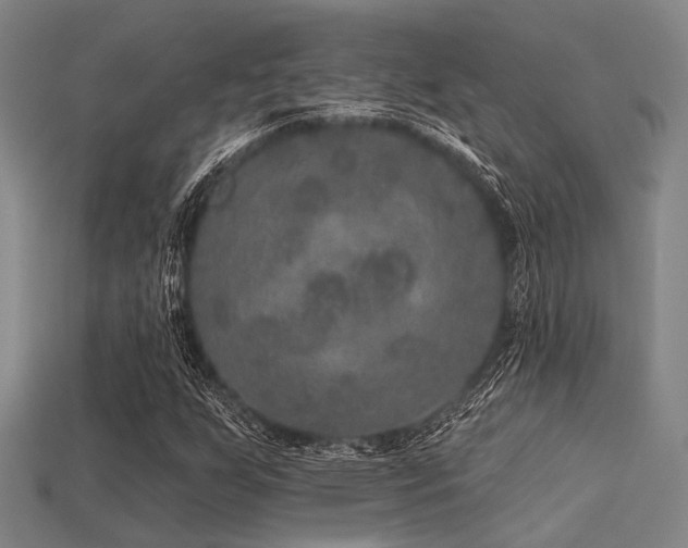 X0000113281255200909141218