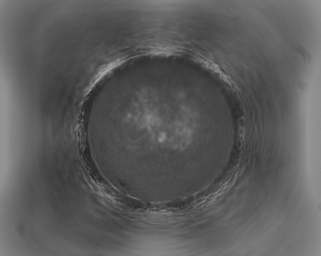 X0000113281256200909141218