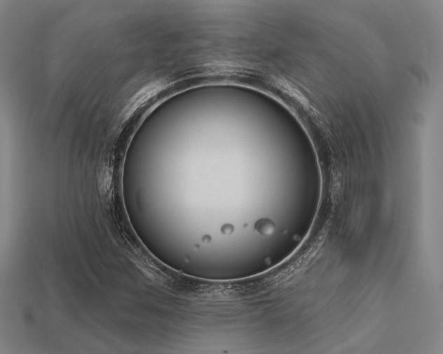 X0000113281259200909141218