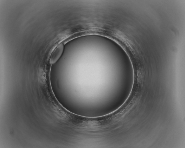 X0000113281260200909141218