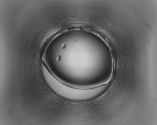 X0000113281261200909141218