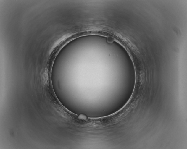 X0000113281262200909141218