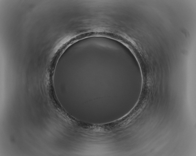 X0000113281263200909141218