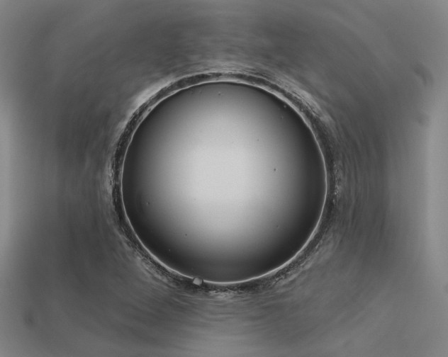 X0000113281264200909141218