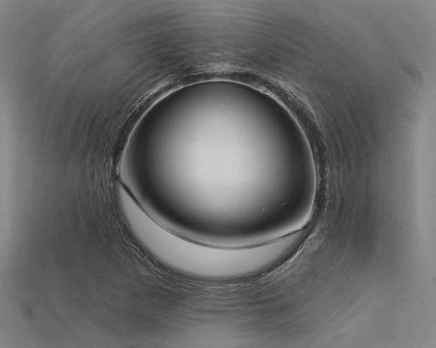 X0000113281265200909141218