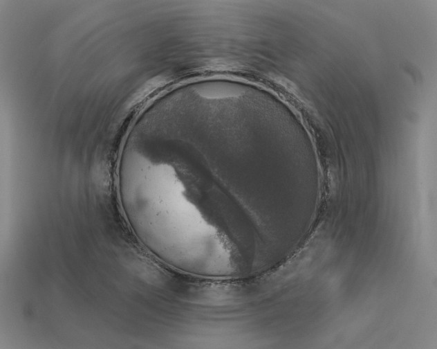 X0000113281266200909141218