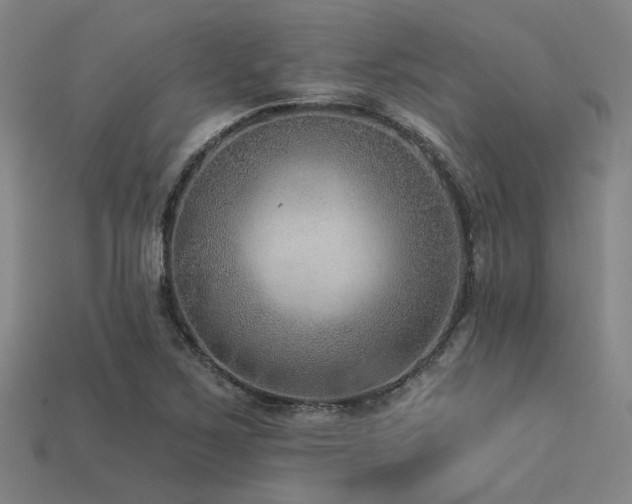 X0000113281267200909141218