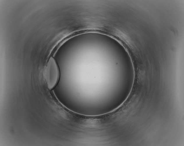 X0000113281268200909141218