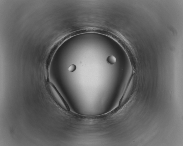 X0000113281269200909141218