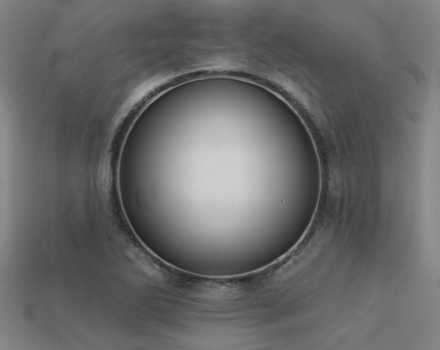 X0000113281270200909141218