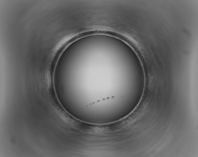 X0000113281271200909141218