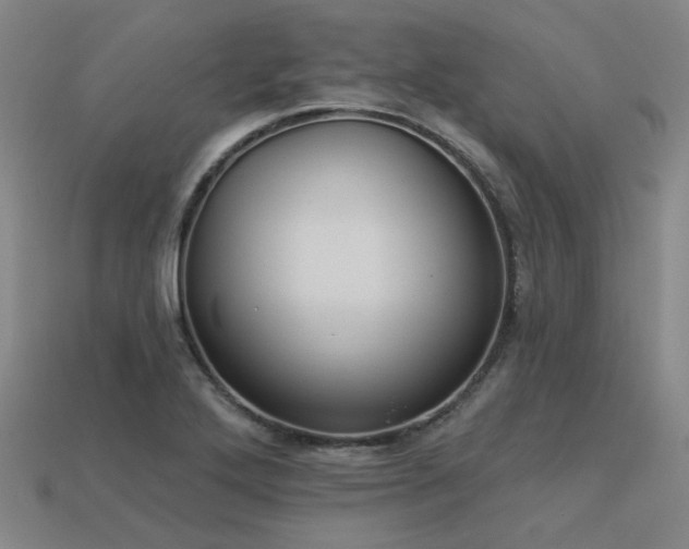 X0000113281272200909141218