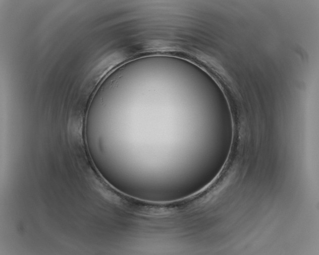 X0000113281273200909141218